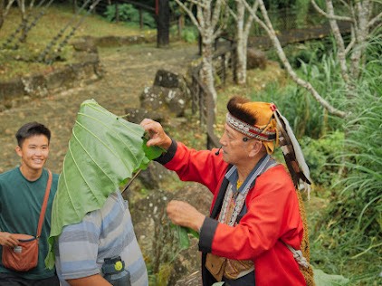 迷糊步道生態解說