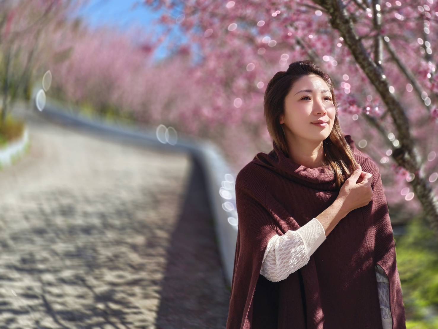 星嵐拉麵附近的櫻花