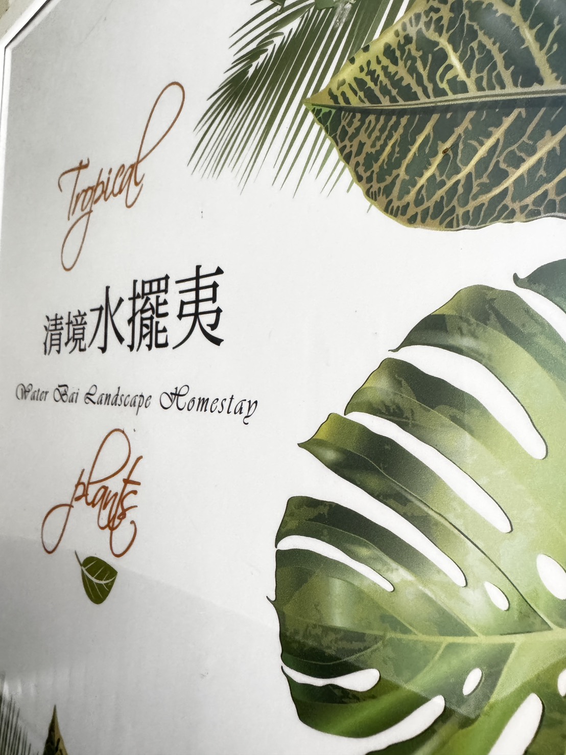 水擺夷公共空間