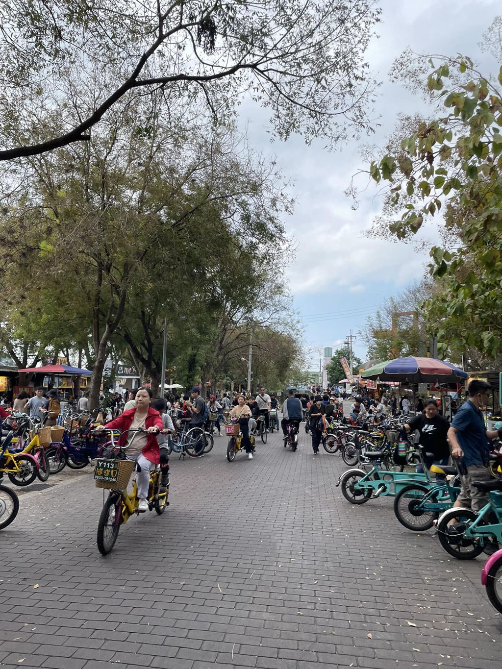 合作租車優惠-享8折