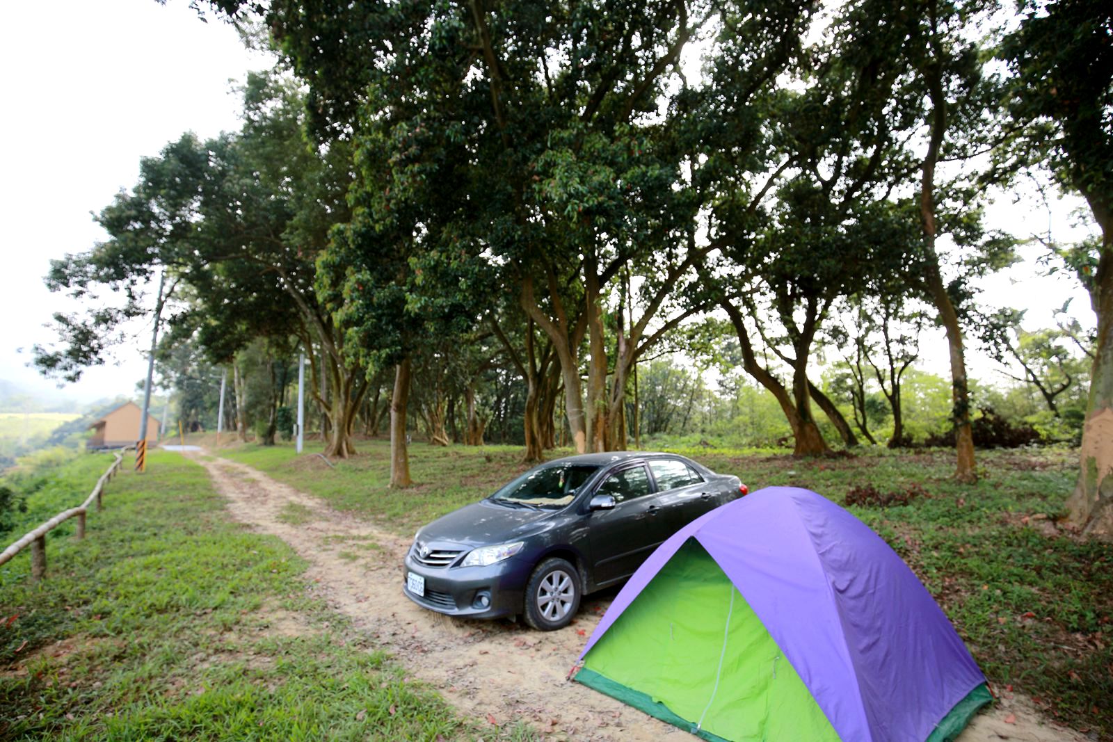 橄欖園戶外空間