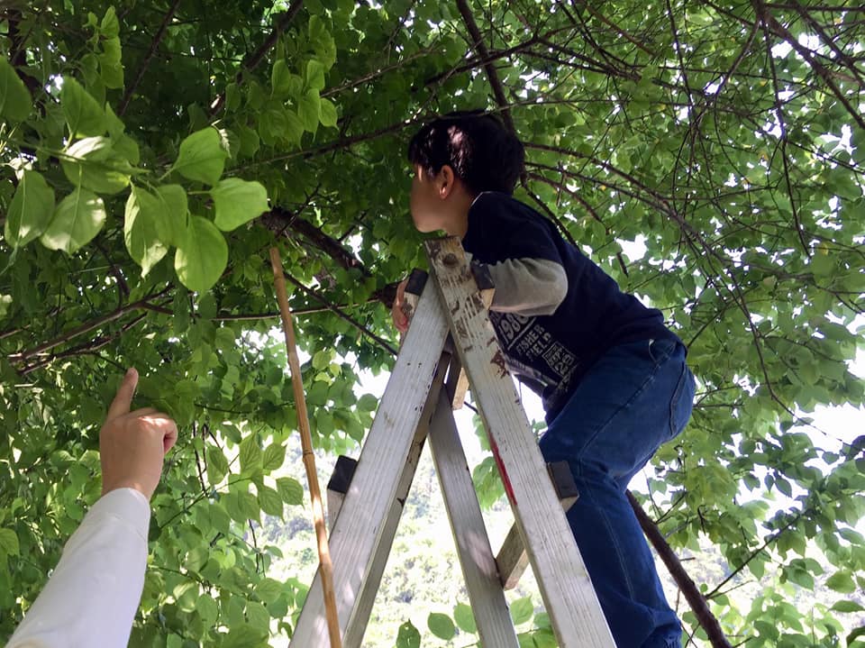 園區體驗活動回顧